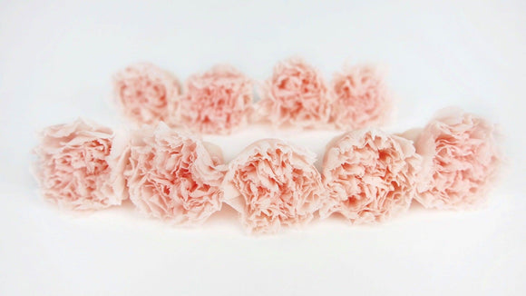 Oeillets stabilisés Kiara - 9 têtes - Pink blush