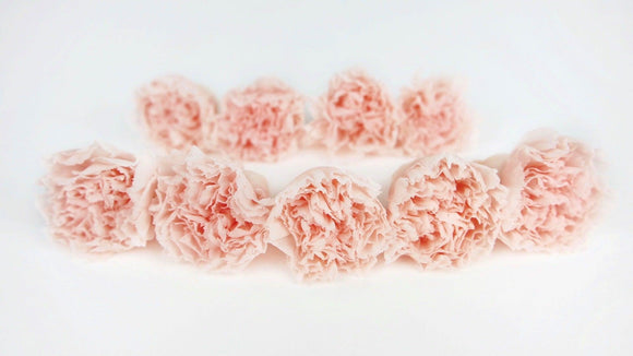 Nelken mini konserviert Kiara - 9 Stück - Pink blush - Si-nature