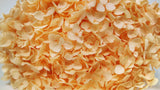 Hortensia preservada Anna - 1 cabeza - Melocotón