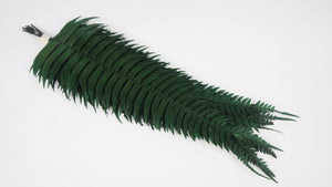 Rock fern preserved - 10 stems - Green