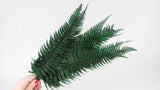 Rock fern preserved - 10 stems - Green