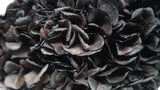Preserved hydrangea Extra - 1 head - Black