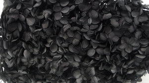 Preserved hydrangea Anna - 1 head - Black