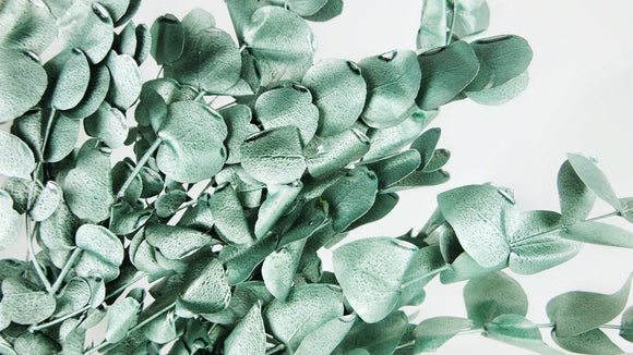 Konservierter Eukalyptus Spiral - 1 Bund - Metallic ice green