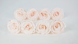 Konservierte Rosen Kiara 5 cm - Bulk 378 Stück - Pink blush