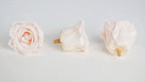 Konservierte Rosen Kiara 5 cm - Bulk 378 Stück - Pink blush