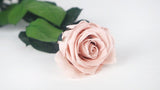 Luxus konservierte Rose mit Stiel 50 cm Kiara - 1 Stück - Antique pink - Si-nature