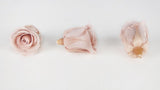 Stabilisierte Rosen Kiara 3 cm - 9 Stück - Antique pink - Si-nature