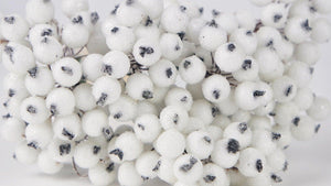 Berry cluster sugar on stem - 1 Bund - Weiß