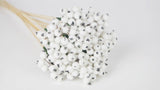 Berry cluster sugar on stem - 1 Bund - Weiß