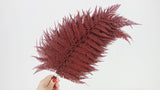 Lustre Shield Fern Conservato Premium - 9 Steli - Rosso