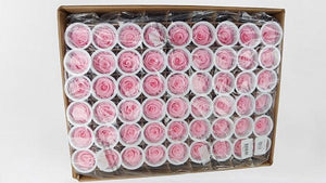Konservierte Rosen Kiara 5 cm - Bulk 378 Stück - Bridal pink - Si-nature