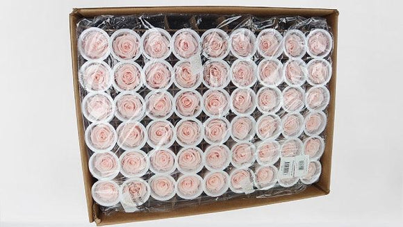 Konservierte Rosen Kiara 5 cm - Bulk 378 Stück - Pink blush