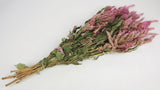Celosia getrocknet - 1 Bund - Naturfarbe rosa