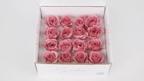 Stabilisierte Rosen 1 cm - 16 Stück - Dusty pink