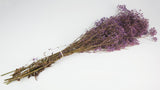 Gypsophile stabilisé - 1 botte - Violet