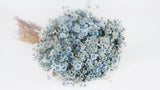 Glixia getrocknet - 1 Bund XL - Blaugrau