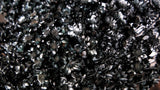 Glixia getrocknet - 1 Bund - Schwarz