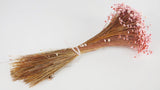 Glixia getrocknet - 1 Bund XL - Vintage rosa - Si-nature