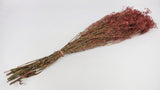 Gypsophile stabilisé - 1 botte - Berry