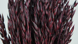 Hafer getrocknet - 1 Bund - Berry