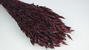 Hafer getrocknet - 1 Bund - Berry