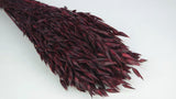 Hafer getrocknet - 1 Bund - Berry