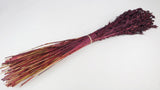 Hafer getrocknet - 1 Bund - Berry