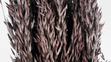Hafer getrocknet - 1 Bund - Deep brown