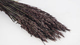 Hafer getrocknet - 1 Bund - Deep brown