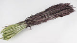 Hafer getrocknet - 1 Bund - Deep brown