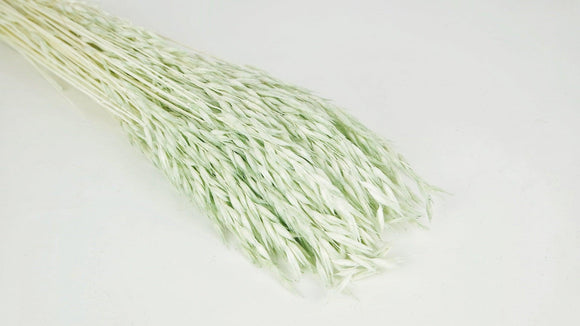 Hafer getrocknet - 1 Bund - Minze
