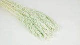 Hafer getrocknet - 1 Bund - Minze