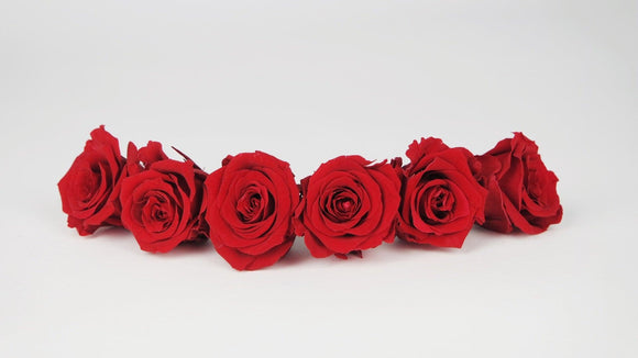 Stabilisierte Rosen 4,5 cm - 6 Stück - Hellrot - Si-nature