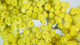 Italienische Strohblumen - 1 Strauß - Naturfarbe gelb - Si-nature