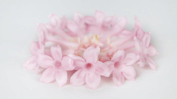 Jasmin konserviert Earth Matters - 12 Köpfe - Sherbel Pink 102
