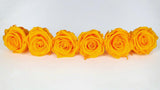 Stabilisierte Rosen Kiara 6 cm - 6 Stück - Sunny yellow - Si-nature