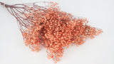 Preserved gypsophila - 1 bunch - Coral pink