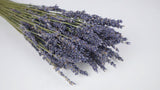 Lavendel getrocknet - 1 Bund - Naturfarbe blau - Si-nature