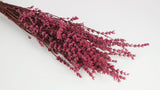 Stabilisierter Lavendel - 1 Bund - Dunkelrosa