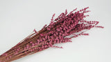 Stabilisierter Lavendel - 1 Bund - Dunkelrosa