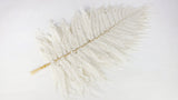 Leather fern preserved 80 cm - 10 stems - White