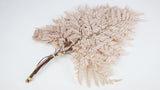 Leather fern preserved - 10 stems - Coffee