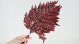 Leather fern preserved Premium - 6 stems - Red