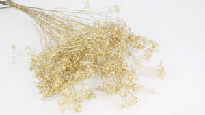 Lepidium - 1 Bund - Gold