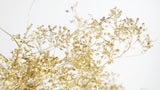 Lepidium - 1 bunch - Gold