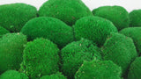 Konserviertes Kugelmoos - große Packung - Grün