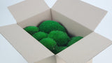 Konserviertes Kugelmoos - kleine Packung - Grün - Si-nature