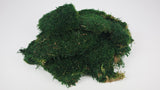 Musgo de trapo en conserva - 500 g - Verde oscuro