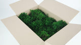Konserviertes Moos Provence - kleine Packung - Dunkelgrün